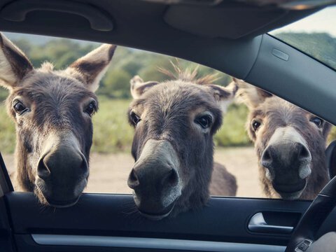 Ein kreatives Team, das durch Zusammenhalt innovative Ideen verwirklicht